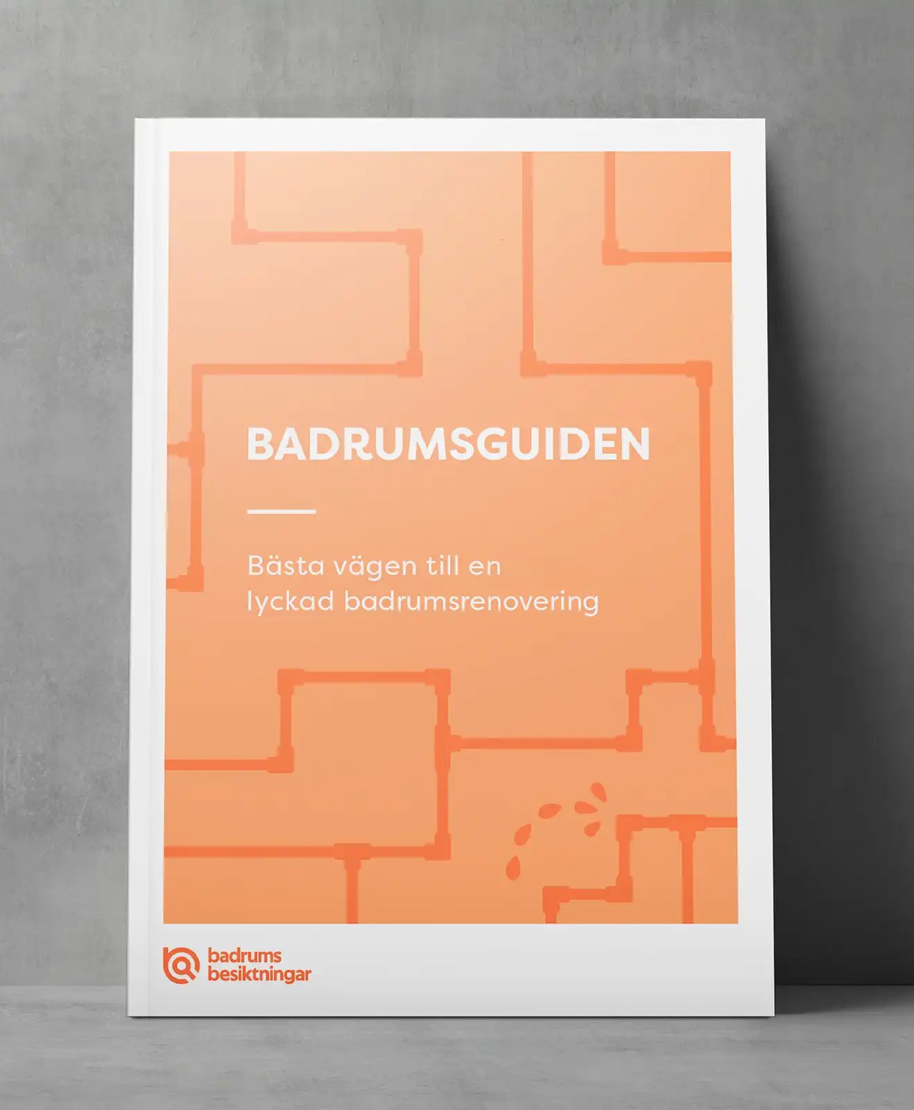 badrumsguiden 1